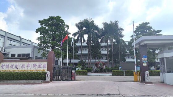 Custom Lab Plastic Blown Film Machine